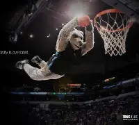 球盟会登录-奥尼尔加盟湖人