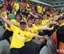 球迷的声音
