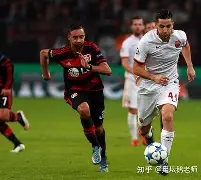 卫冕夺冠类比推理 卫冕夺冠类比推理