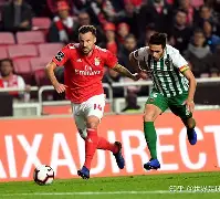 里昂俱乐部阵容