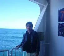 耀眼免费阅读全文