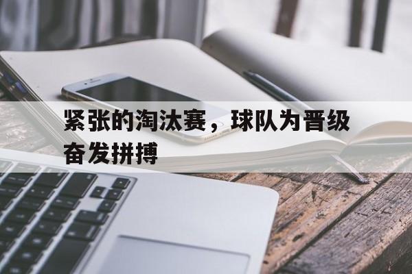 球盟会官方-淘汰赛的意思是什么