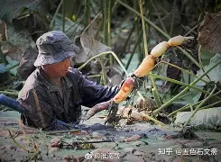 球盟会官方-在非洲,如果有谁私吞食物,不懂得分享