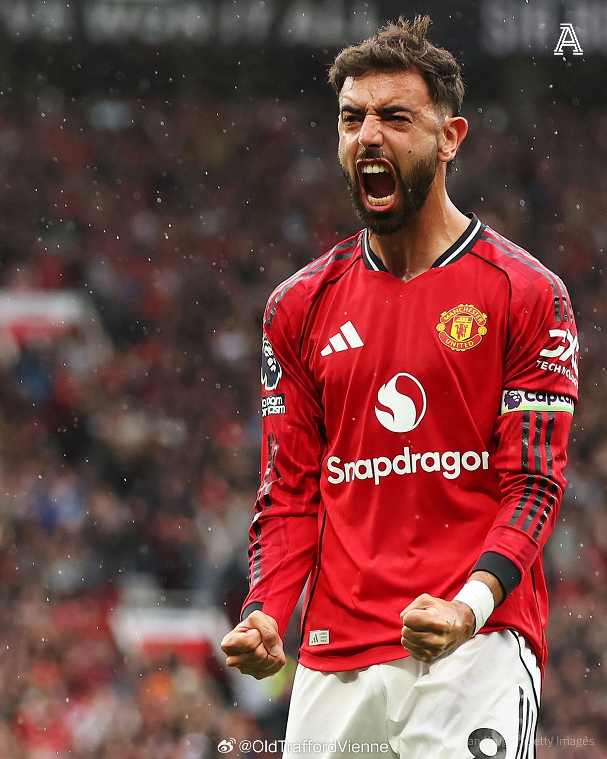 伯恩利vs谢菲联比赛直播