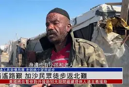 卡尔斯鲁厄理工学院相当于国内哪所大学